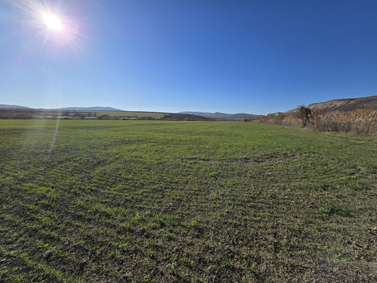 Продам землю для коммерческого использования 2,52 соток, Фермерское хоз., Курское с