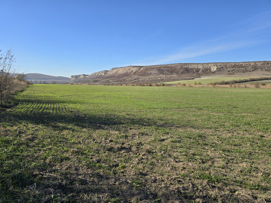 Продам землю для коммерческого использования 2,52 соток, Фермерское хоз., Курское с