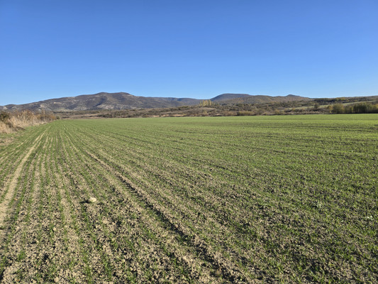 Продам землю для коммерческого использования 2,52 соток, Фермерское хоз., Курское с