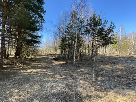 Продам участок 24 соток, ИЖС, Одерихино д, 0 км от города