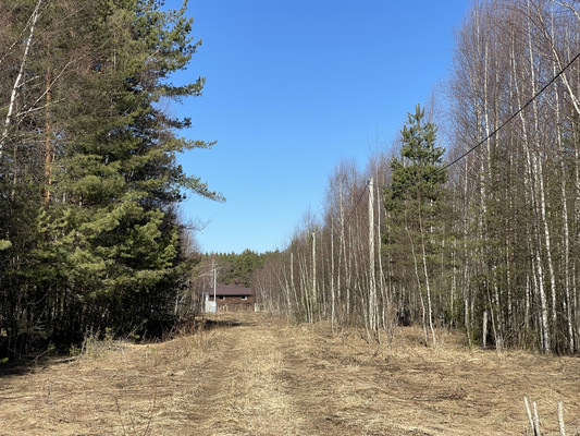 Продам участок 24 соток, ИЖС, Одерихино д, 0 км от города