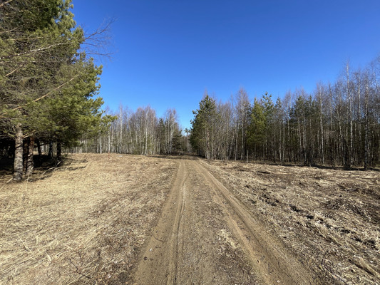 Продам участок 24 соток, ИЖС, Одерихино д, 0 км от города