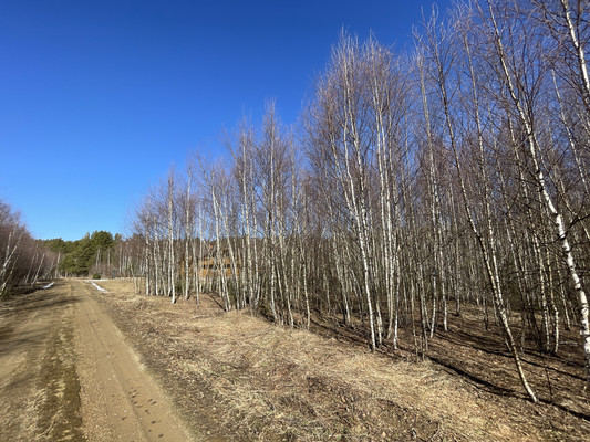 Продам участок 24 соток, ИЖС, Одерихино д, 0 км от города