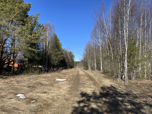 Продам участок 24 соток, ИЖС, Одерихино д, 0 км от города