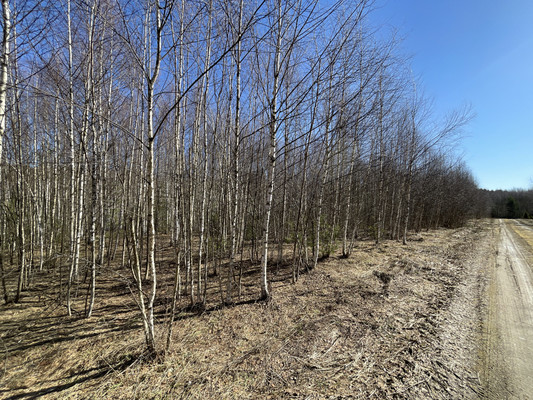 Продам участок 24 соток, ИЖС, Одерихино д, 0 км от города