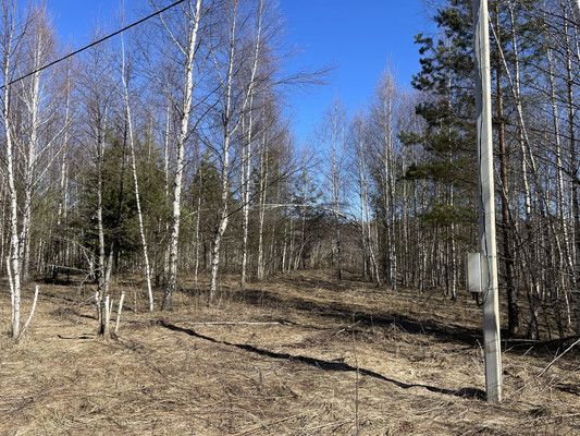 Продам участок 24 соток, ИЖС, Одерихино д, 0 км от города