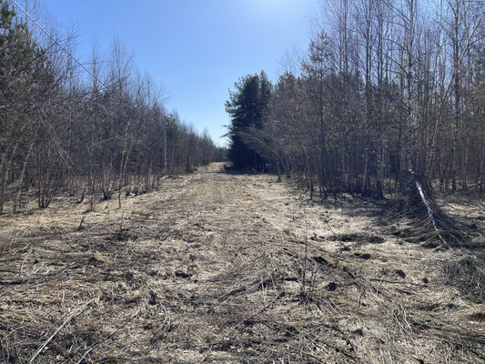 Продам участок 24 соток, ИЖС, Одерихино д, 0 км от города