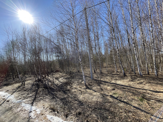 Продам участок 24 соток, ИЖС, Одерихино д, 0 км от города