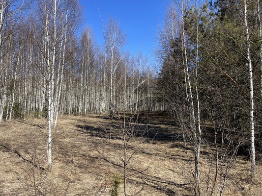 Продам участок 24 соток, ИЖС, Одерихино д, 0 км от города