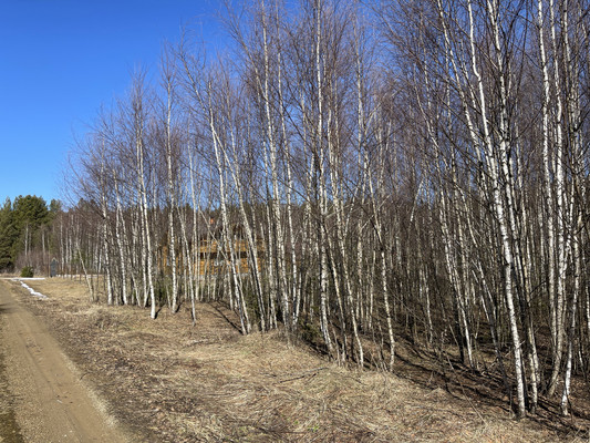 Продам участок 24 соток, ИЖС, Одерихино д, 0 км от города