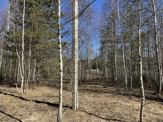 Продам участок 24 соток, ИЖС, Одерихино д, 0 км от города