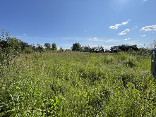 Продам участок 12 соток, ИЖС, Берендеево с, 0 км от города