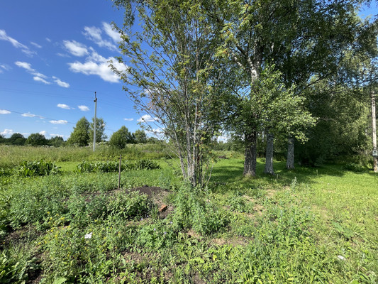 Продам участок 12 соток, ИЖС, Берендеево с, 0 км от города