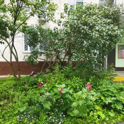 Продам однокомнатную (1-комн.) квартиру, Юрловский проезд, 25, Москва г
