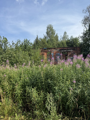 Продам участок 11 соток, Фермерское хоз., Симагинская ул, Ильичёвская тер., 0 км от города