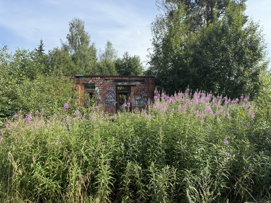 Продам участок 11 соток, Фермерское хоз., Симагинская ул, Ильичёвская тер., 0 км от города