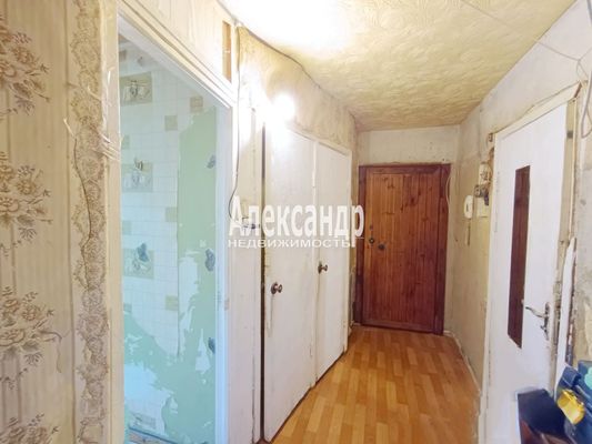 Продам многокомнатную квартиру, Культуры пр-кт, 11к3, Санкт-Петербург г