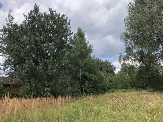 Продам участок 19 соток, ИЖС, Богородская ул, Ямкино с, 0 км от города