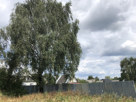 Продам участок 19 соток, ИЖС, Богородская ул, Ямкино с, 0 км от города