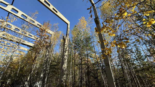 Продам коммерческое помещение 2 000 м2, Промзона БЗСК ул, Заречный г