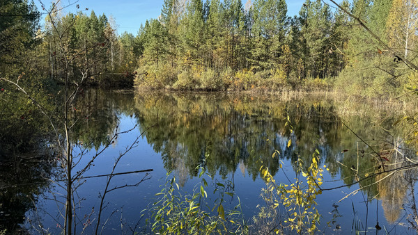 Продам коммерческое помещение 2 000 м2, Промзона БЗСК ул, Заречный г