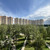 Продам однокомнатную (1-комн.) квартиру, Крымская ул, 7, Раменское г