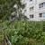 Продам двухкомнатную (2-комн.) квартиру, Ударников пр-кт, 27Вк2, Санкт-Петербург г