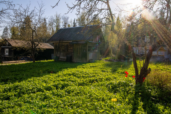 Продам дачу, 234, Нева массива Строганово тер. СНТ, 0 км от города