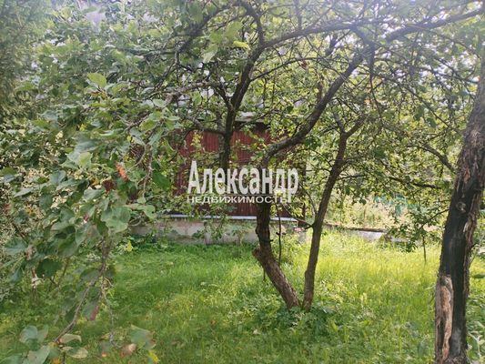 Продам дачу в поселке Ухта, Заря тер. СНТ, 296, Ухта массив, 64 км от города