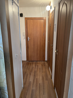 Продам однокомнатную (1-комн.) квартиру, Передовиков ул, 37А, Санкт-Петербург г