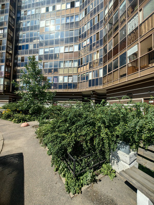 Продам трехкомнатную (3-комн.) квартиру, Дунайский пр-кт, 23, Санкт-Петербург г