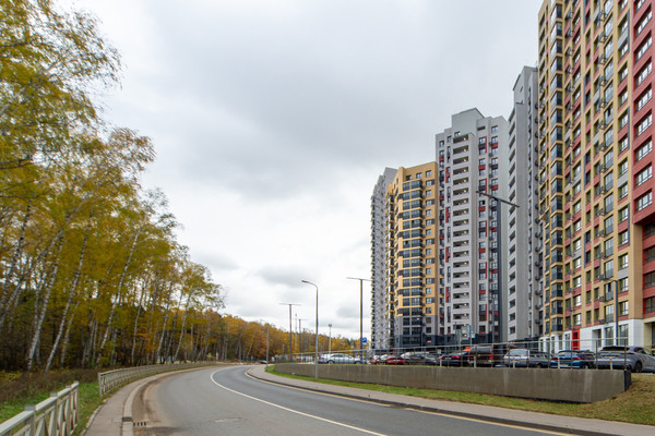 Продам однокомнатную (1-комн.) квартиру, Полковника Романова ул, 11, Нагорное п