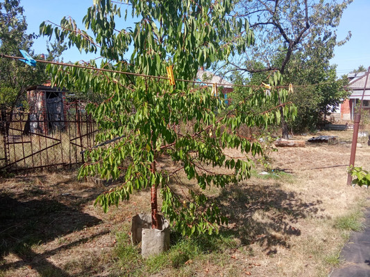Продам дом, Шоссейная ул, Майкоп г, 0 км от города