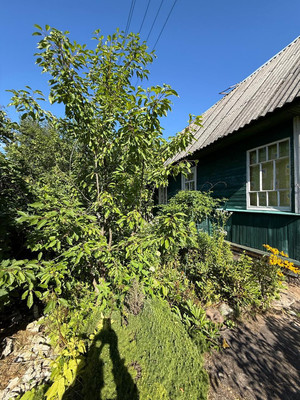 Продам дачу, Азимут тер. СНТ, Кобрино массив, 0 км от города