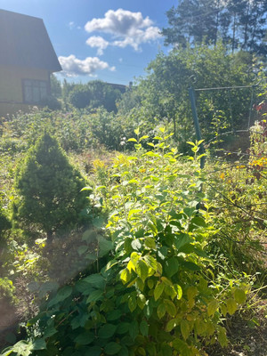 Продам дачу, Азимут тер. СНТ, Кобрино массив, 0 км от города