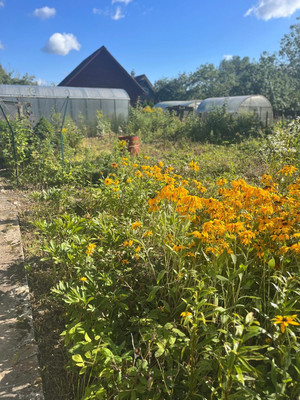 Продам дачу, Азимут тер. СНТ, Кобрино массив, 0 км от города