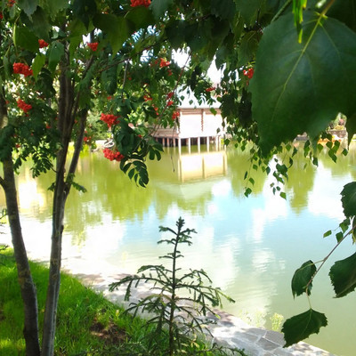 Продам участок 6,2 соток, Фермерское хоз., СНТ Круиз тер, Дудкино д, 0 км от города