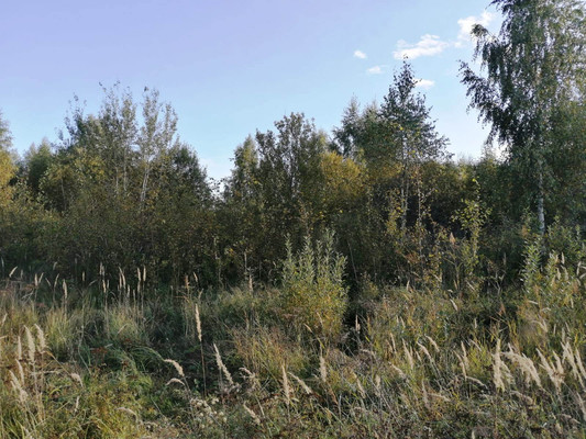 Продам участок 15 соток, ИЖС, Никитская ул, Переславль-Залесский г, 0 км от города