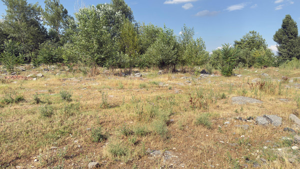 Продам участок 7 соток, ИЖС, Мира ул, Шалушка с, 0 км от города