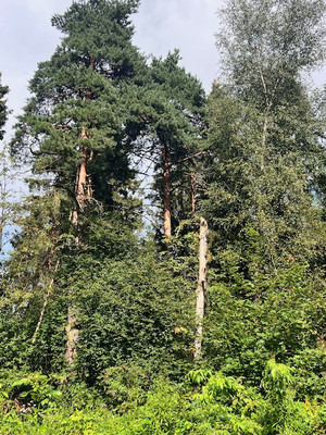 Продам участок 13,2 соток, ИЖС, Мытищинская ул, 7а, Троицкое с, 0 км от города