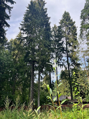 Продам участок 13,2 соток, ИЖС, Мытищинская ул, 7а, Троицкое с, 0 км от города