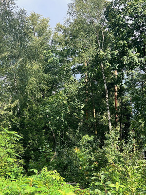 Продам участок 13,2 соток, ИЖС, Мытищинская ул, 7а, Троицкое с, 0 км от города