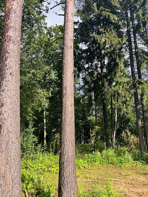 Продам участок 13,2 соток, ИЖС, Мытищинская ул, 7а, Троицкое с, 0 км от города