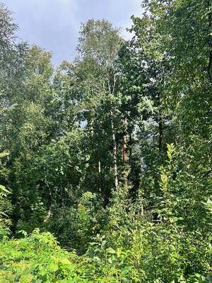 Продам участок 13,2 соток, ИЖС, Мытищинская ул, 7а, Троицкое с, 0 км от города