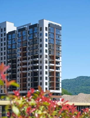 Продам двухкомнатную (2-комн.) квартиру (долевое), Искры (Адлерский р-н) ул, 66/10, Сочи г
