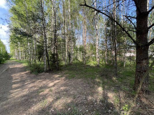 Продам участок 30 соток, ИЖС, Купанское с, 0 км от города