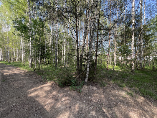 Продам участок 30 соток, ИЖС, Купанское с, 0 км от города