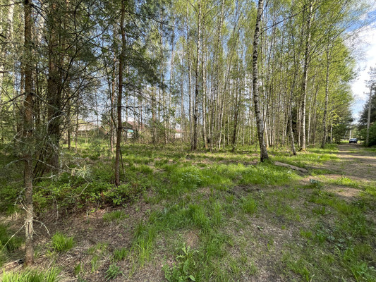 Продам участок 30 соток, ИЖС, Купанское с, 0 км от города