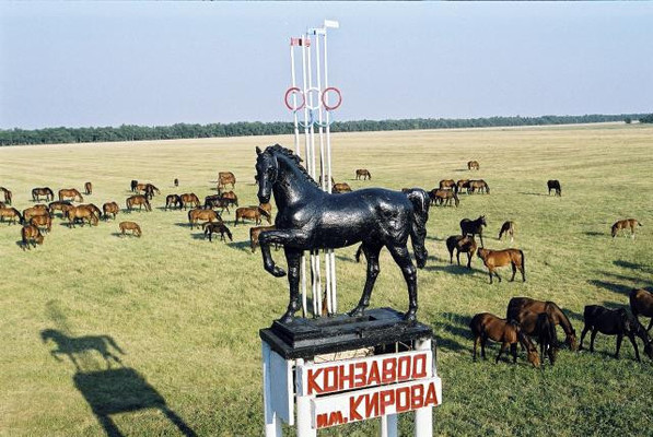 Продам дом, Сланова ул, 14, Вороново п, 0 км от города