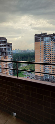 Продам однокомнатную (1-комн.) квартиру, Бояринова (Новое Павлино мкр.) ул, 24к303, Балашиха г